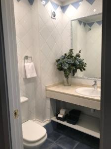 a bathroom with a toilet and a sink and a mirror at Apartamento de las doblas in Córdoba