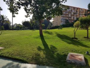 A garden outside Apartamentos Minerva- Jupiter