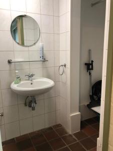 a bathroom with a sink and a mirror at Ceder 9 Hengelhoef in Houthalen-Helchteren
