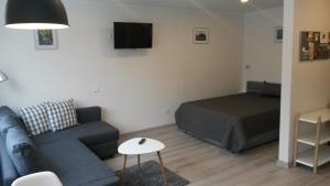 ein Wohnzimmer mit einem Sofa und einem Bett in der Unterkunft Anykščiai Center Apartment in Anykščiai