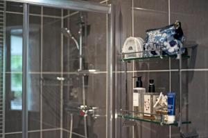 een badkamer met een douche en een glazen douchecabine bij The Apartment, 24 West End Terrace, Winchester in Winchester
