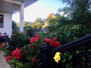 Zahrada ubytování Anh Duong Hotel