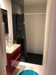 een badkamer met wastafel en douche bij Lulu Philippe in Saint-Étienne +9 foto's