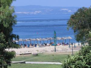 a beach with chairs and umbrellas and the ocean at Apartments Konstantinidis in Nea Potidaea