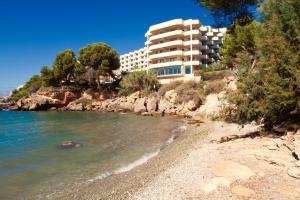 a beach with a large body of water and palm trees at TRH Jardín Del Mar in Santa Ponsa