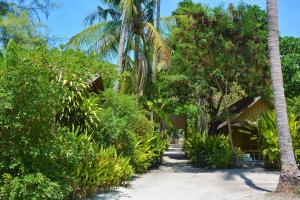 un camino a través de los árboles y plantas de la playa en Forra Dive Resort Sunrise en Ko Lipe