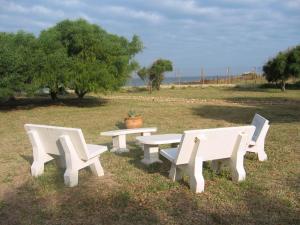 Příroda nedaleko vily