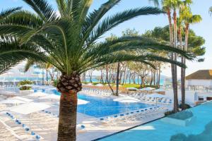 a palm tree next to a pool at a resort at Iberostar Waves Playa de Muro in Playa de Muro