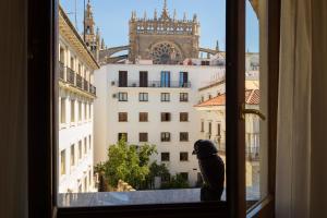 Kép Catedral Cabildo szállásáról Sevillában a galériában