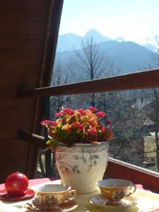 wazon z kwiatami siedzący na stole z dwoma kubkami w obiekcie Pokoje gościnne w górach w mieście Kościelisko