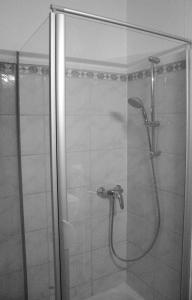 a shower with a glass door in a bathroom at Ferienwohnung Engel Lindau am Bodensee in Lindau