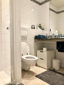 biała łazienka z toaletą i prysznicem w obiekcie Spacious flat in the heart of the City Center! Ideal for a family! w Luksemburgu