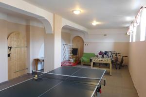 una mesa de ping pong en el medio de una habitación en Farma Růžová en Růžová