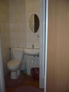 a bathroom with a toilet and a sink and a mirror at Pokoje gościnne w górach in Kościelisko +56 photos