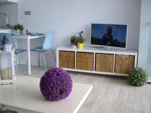 TV a/nebo společenská místnost v ubytování Castillo de Santa Clara Luxury