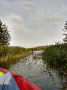 Fotografia z galérie ubytovania Dom Suwalszczyzna v destinácii Suwałki