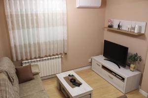 a living room with a couch and a flat screen tv at Apartamento Turistico La Cañada in Guadalajara