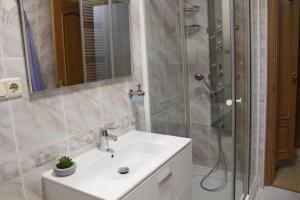 a bathroom with a sink and a shower at Apartamento Turistico La Cañada in Guadalajara +11 photos