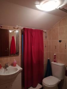 La salle de bains est pourvue d'un rideau de douche rouge et de toilettes. dans l'établissement Casa Coelho - Alojamento Local, à Alfândega da Fé