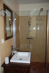 a bathroom with a sink and a shower at Maison d' hôtes individuelle La Relinquière in Milhac