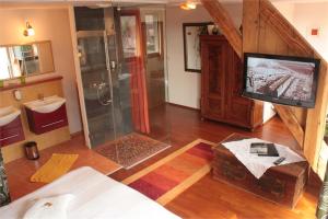 a bathroom with a shower and a television in it at Hotel und Freizeitanlage Rauch-Hof in Stainz