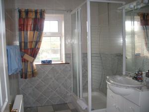 a bathroom with a shower and a toilet and a sink at Tomedjocon in Fermoy