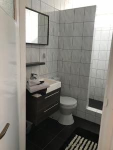 een badkamer met een toilet, een wastafel en een spiegel bij De Drie Berken in Klazienaveen