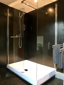 a shower with a glass enclosure in a bathroom at Apartment in Historical Center in Liège