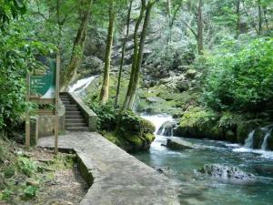 Gallery image of Hostal Aquismon in Aquismón