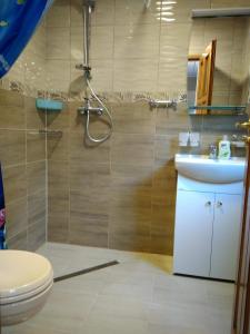 a bathroom with a shower and a toilet and a sink at Lodges Zacisze I in Giżycko