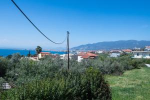 Príroda v okolí apartmánu