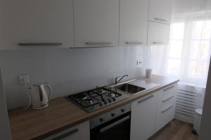 Kuchyň nebo kuchyňský kout v ubytování Apartmani SB 42