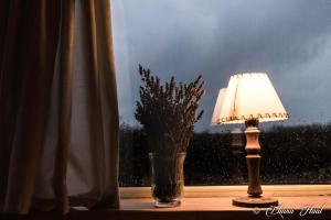 une lampe et un vase sur un rebord de fenêtre avec une plante dans l'établissement La Calandria Casa de Campo, à Puerto Madryn