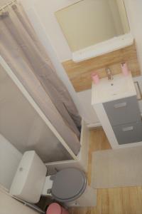 a small bathroom with a toilet and a sink at Studio Lovely Sea in Le Barcarès +12 photos