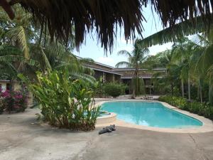 A piscina localizada em Cabo Velas Estates ou nos arredores
