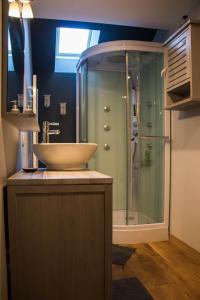 La salle de bains est pourvue d'un lavabo et d'une douche. dans l'établissement A la Grange d'en Haut, à Bras-Haut