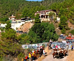 a group of people and cows walking down a hill at Hotel VegaSierra in Bogarra