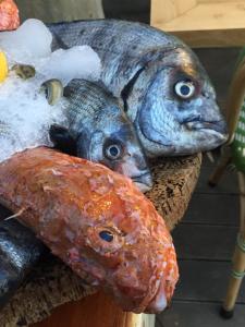 a statue of three fish on a table at Hôtel Le Porquerollais in Porquerolles