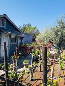 un jardín de plantas frente a una casa en Andrea's Hidden Cottage en Sonoma