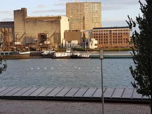 a river with swans in a city with buildings at Sewdien’s Apartment Maashaven in Rotterdam