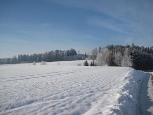Ferienhof Rieger v zimě