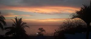 a sunset over the ocean with palm trees in the foreground at Apartamentos Freddy's Tours in Santa Marta