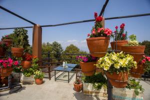Ein Garten an der Unterkunft Langtang View Nagarkot Bed and Breakfast