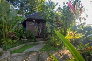 Zahrada ubytování Villa Wedang