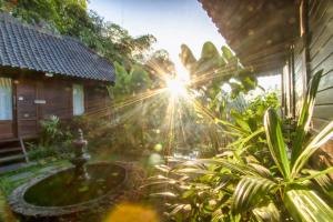 Zahrada ubytování Villa Wedang