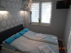 a bed in a bedroom with a window at Apartament Dwie Sosny in Ustronie Morskie