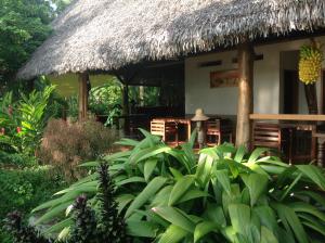 Aed väljaspool majutusasutust Coco Komba Lodge