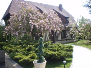 エクモヴィルにあるMaison de style Normandの花木のある家の前の庭