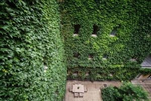 a green wall with a table in front of it at Hotel Kunsthof in Vienna