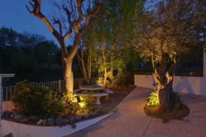 A garden outside Casa Peters